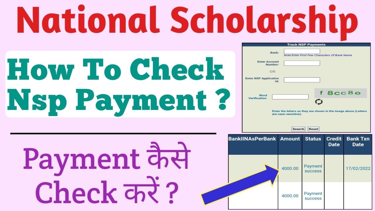 NSP Scholarship Status Check